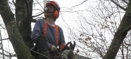  Tree Surgeons, Cheadle, Cheadle Hulme, Bramhall, Heald Green, Wilmslow, Stockport